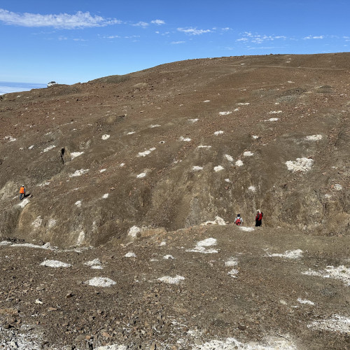 View towards the SW. Ravine with an outcrop of stockwork and larger structures of different orientations with surface coverage.