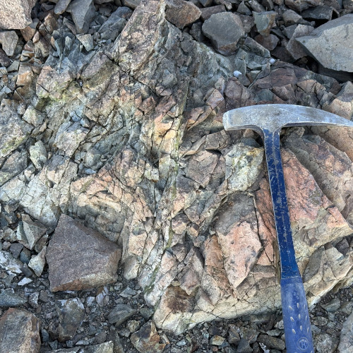 Stockwork with limonites in diorite, with moderate argillic-chlorite alteration and epidote veinlets.